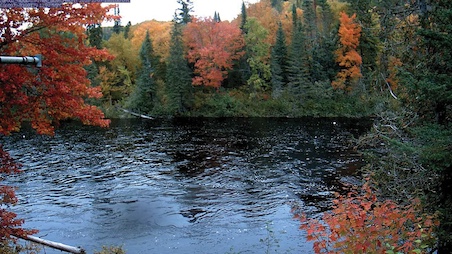 Colourful fall trees along a river